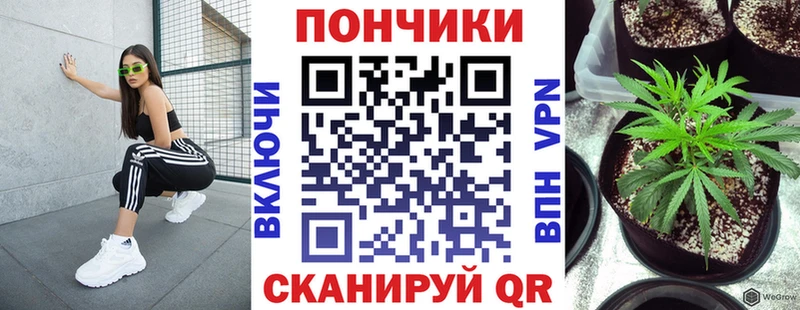 МАРИХУАНА Bruce Banner  даркнет сайт  Светогорск 